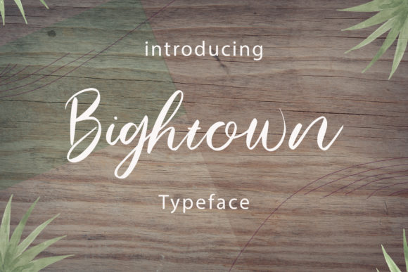 Bightown: A Script Amp Font for Creative Projects