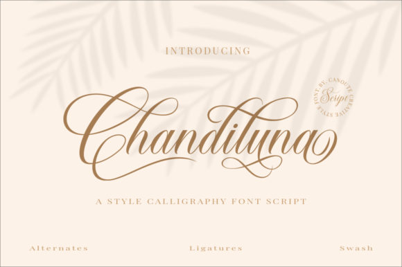 Chandiluna: Elevate Your Brand with a Stylish Handwritten Font