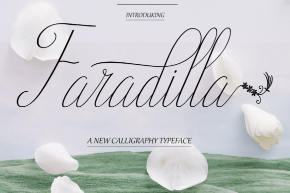 Faradilla: A Premium Script Font for Elegant Campaigns