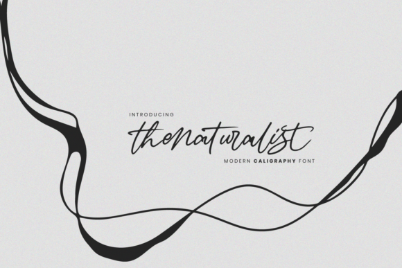 The Naturalist: A Handwritten Font for Creative Makers